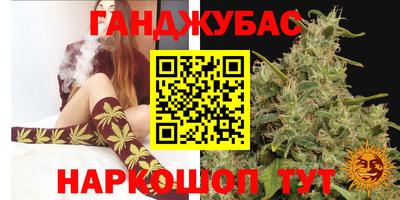стаф Севастополь
