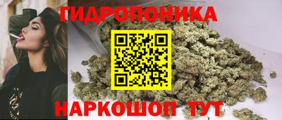 стаф Севастополь