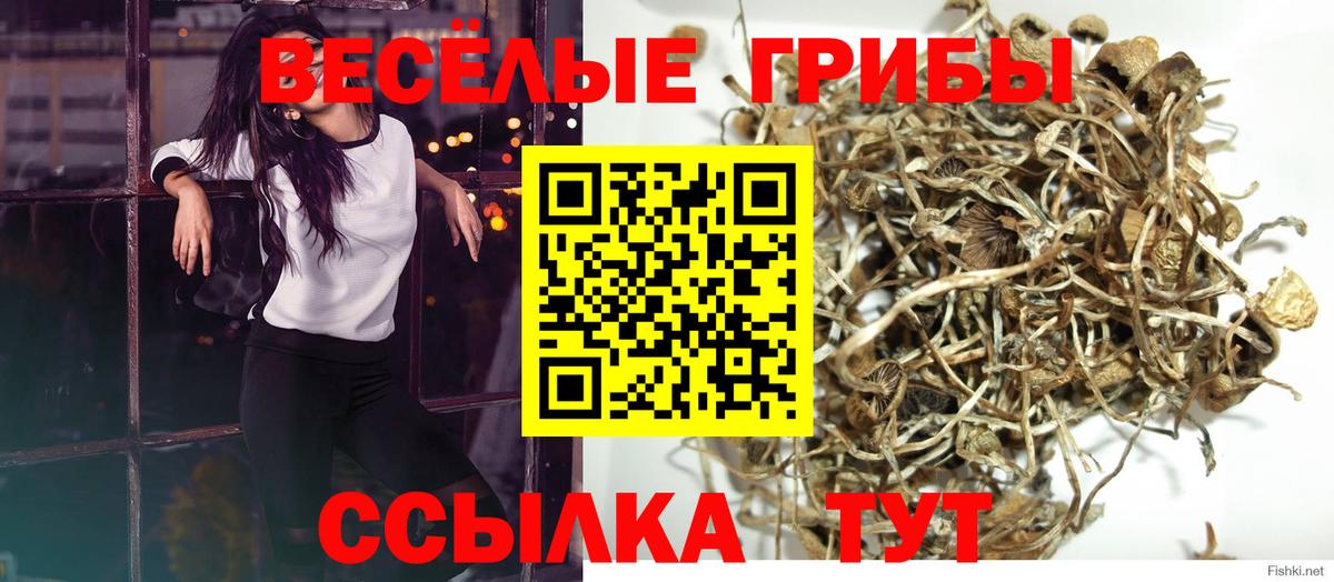 Галлюциногенные грибы мухоморы Серов